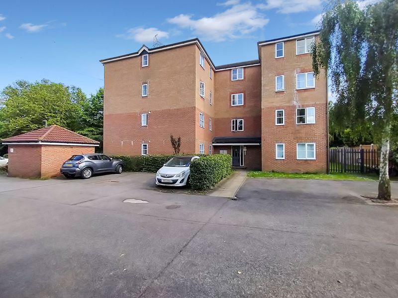 Main Image
